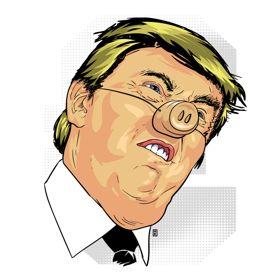 Donald Trumpig by zor