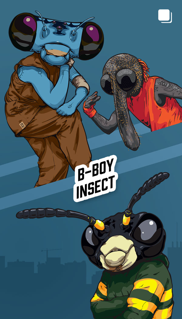 B-boy insect