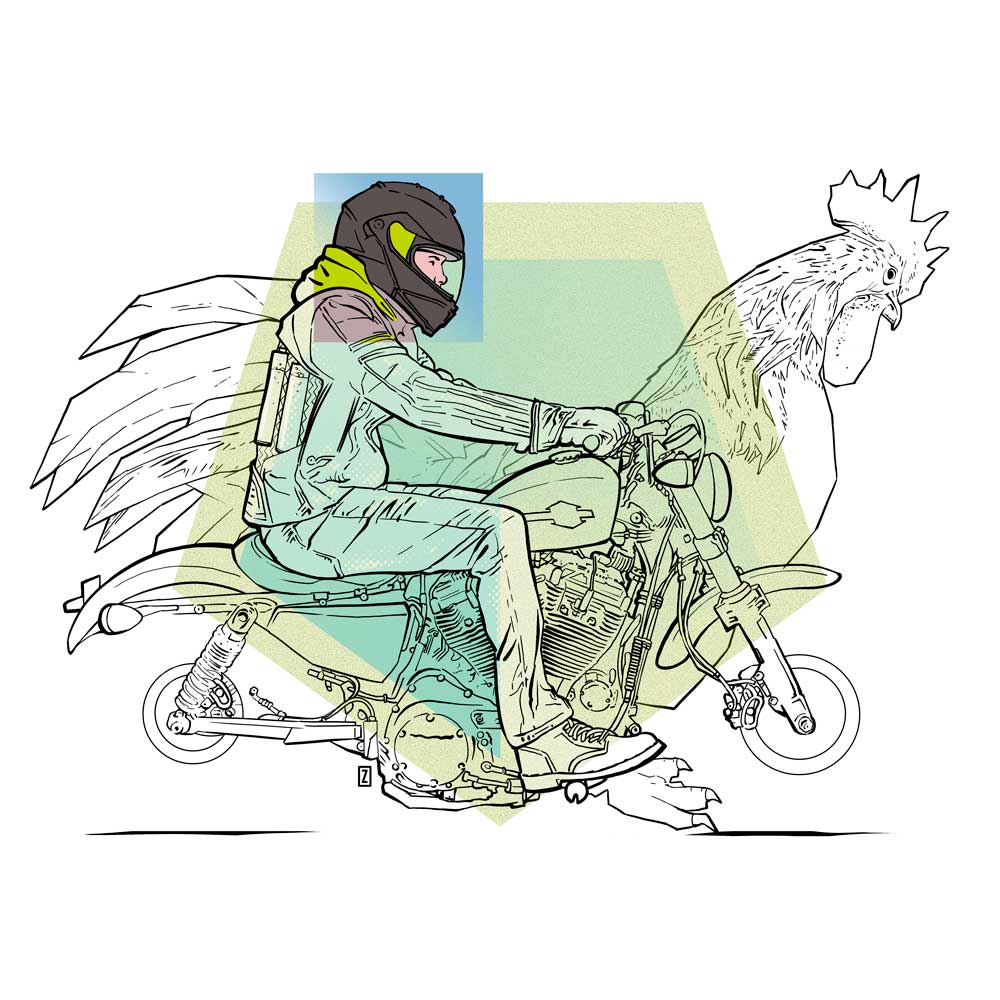 harley-david-coq by zor