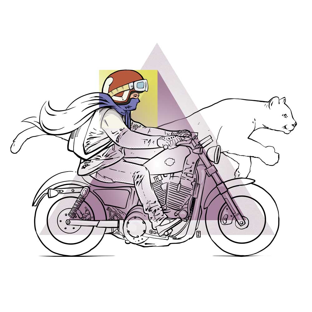 sportster-scarf by zor